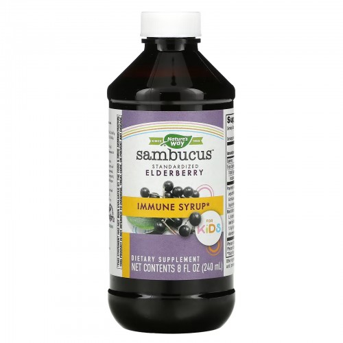 Nature's Way, Sambucus для детей, стандартизированный экстракт бузины, оригинальный сироп, 240 мл (8 жидк. унций)